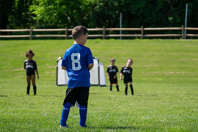我们需要明 我们需要明