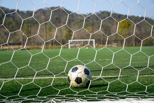 在专业团队 在专业团队