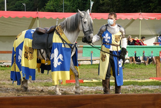 本文将回顾 本文将回顾