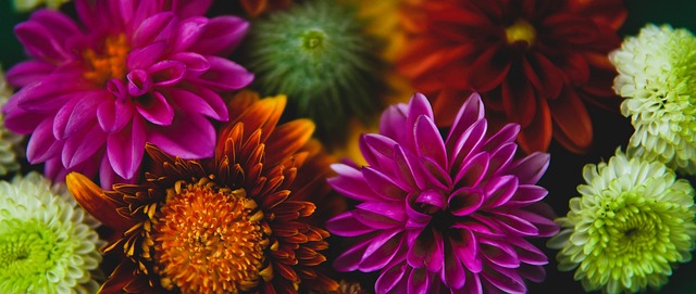 现极为突出 现极为突出