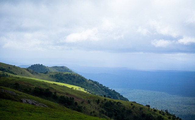 本屆全中運 本屆全中運