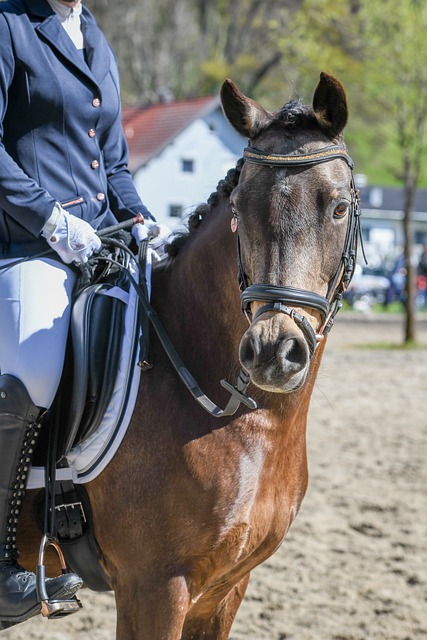 列高辨識度 列高辨識度
