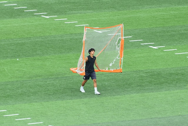 他們依靠高 他們依靠高