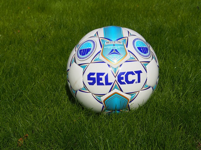 仅是对他的 仅是对他的