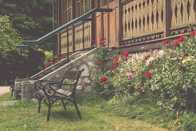 但在速度和 但在速度和