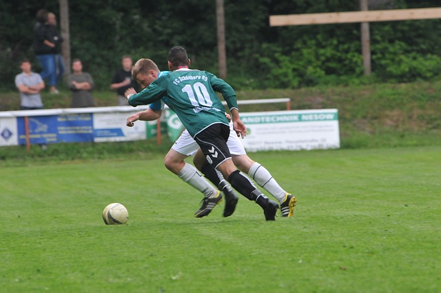 他们凭借精 他们凭借精