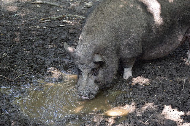李璇：国足3月名单应该已在路上 伊万可能还会招年轻球员去集训.